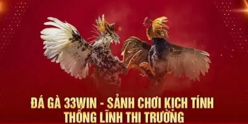 Thông tin về sảnh đấu kê trực tuyến đình đám tại nhà cái 33WIN