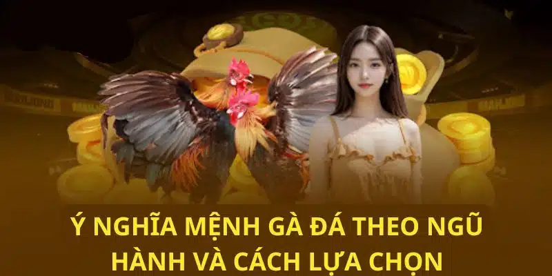 Khám phá ý nghĩa các mệnh gà đá theo ngũ hành